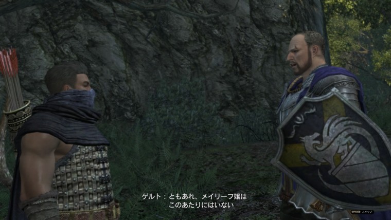 ドラゴンズドグマ オンライン_20150908191437