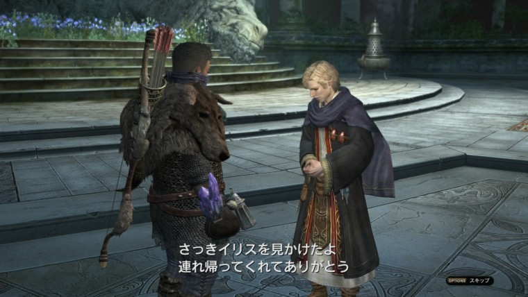 ドラゴンズドグマ オンライン_20150914180213