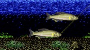 スーファミ 川のぬし釣り2攻略 魚とぬしの場所マップ しろのレトロゲーブログ Cap Games